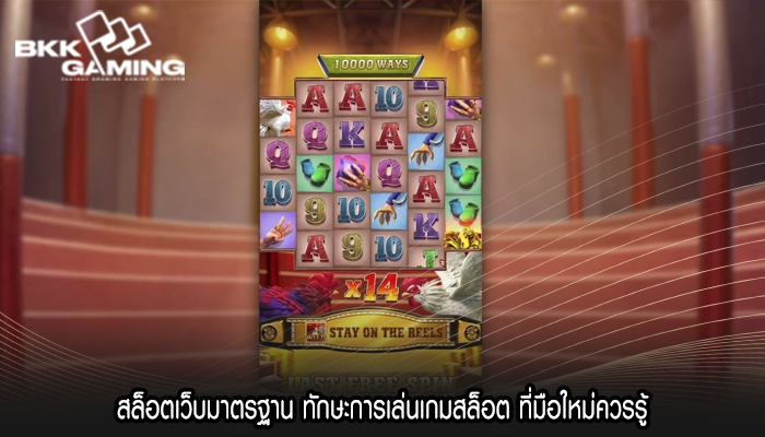 สล็อตเว็บมาตรฐาน ทักษะการเล่นเกมสล็อต ที่มือใหม่ควรรู้